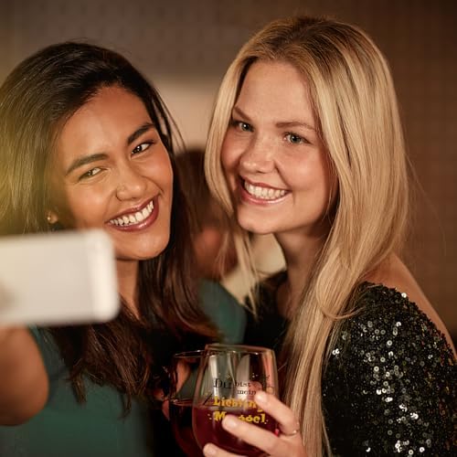 Joymaking Weinglas Lustig 15oz - Geschenke für Frauen und Männer, Selbstrührend, Dekoration